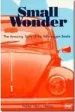Audiobook Small Wonder: The Amazing Story of the Volkswagen Beetle author Walter Henry Nelson