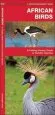 Audiobook African Birds: A Folding Pocket Guide to Familiar Species author James Kavanagh
