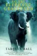 Audiobook To the Elephant Graveyard author Tarquin Hall