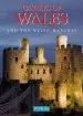 Audiobook Castles of Wales author David Cook