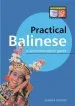 Audiobook Practical Balinese: Phrasebook and Dictionary author Gunter Spitzing