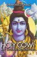 Audiobook Holy cow! an Indian Adventure author Sarah Macdonald