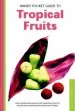 Audiobook Handy Pocket Guide to Tropical Fruits author Wendy Hutton