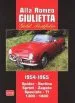 Audiobook Alfa Romeo Giulietta Gold Portfolio 1954-1965: Spider Berlina Sprint Zagato Speciale ti 1300 1600 author R. M. Clarke