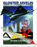 Audiobook The Gloster Javelin: The Raf'S First Delta Wing Fighter author Richard Franks