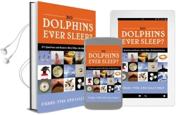 Do Dolphins Ever Sleep?: 211 Questions and Answers About Ships, the sky and the sea Audiobook download free by Pierre Yves Bely