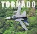 Audiobook Tornado: A History author Peter R. Foster
