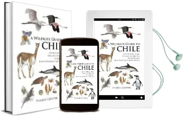 A Wildlife Guide to Chile: Continental Chile, Chilean Antarctica, Easter Island, Juan Fernandez Archipelago Audiobook download free by Sharon R. Chester