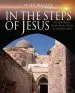 Audiobook In the Steps of Jesus author Peter Walker
