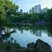 Audiobook Seeing Central Park: Official Guide author Sara Cedar Miller