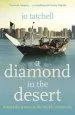Audiobook A Diamond in the Desert: Behind the Scenes in the World'S Richest City author Jo Tatchell