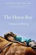 Audiobook The Horse boy: A Memoir of Healing author Rupert Isaacson