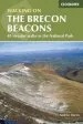 Audiobook Walking on the Brecon Beacons: 45 Circular Walks in the National Park author Andrew Davies