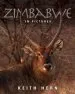 Audiobook Zimbabwe in Pictures author Keith Hern
