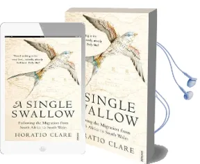 A Single Swallow: Following an Epic Journey From South Africa to South Wales Audiobook download free by Horatio Clare
