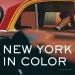 Audiobook New York in Colour author Bob Shamis