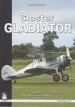 Audiobook Gloster Gladiator: Survivors and Airframe Details v. 2 author Alex Crawford