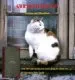 Audiobook Gwr Signal box Cats: Liveries and Allocations author Algernon Flitly Smith