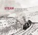 Audiobook Steam: An Enduring Legacy: The Railroad Photographs of Joel Jensen author Scott Lothes