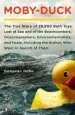 Audiobook Moby-Duck: The True Story of 28,800 Bath Toys Lost at sea & of the Beachcombers, Oceanograp Hers, Environmentalists & Fools Including the Author who Went in Search of Them author Donovan Hohn