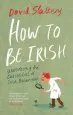 Audiobook How to be Irish: Uncovering the Curiosities of Irish Behaviour author David Slattery