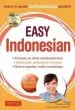 Audiobook Easy Indonesian: Learn to Speak Indonesian Quickly (Audio cd Included) author Thomas G. Oey