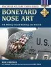 Audiobook Boneyard Nose art: U.S. Military Aircraft Markings and Artwork author Nick Veronico