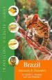 Audiobook Brazil author David L. Pearson