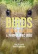 Audiobook Birds of new Zealand: A Photographic Guide author Paul Scofield