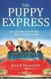 Audiobook The Puppy Express: On the Road With 25 Rescue Dogs . . . What Could go Wrong? author David Rosenfelt