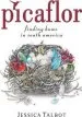 Audiobook Picaflor: Finding Home in South America author Jessica Talbot