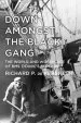 Audiobook Down Amongst the Black Gang: The World and Workplace of rms Titanic'S Stokers author Richard P. De Kerbrech