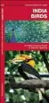 Audiobook India Birds: A Folding Pocket Guide to Familiar Species author James Kavanagh