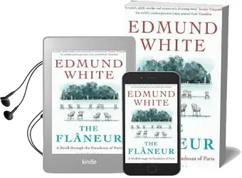 The Flaneur Audiobook download free by Edmund White