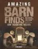 Audiobook Amazing Barn Finds and Roadside Relics: Musty Mustangs, Hidden Hudsons, Forgotten Fords, and Other Lost Automotive Gems author Ryan Brutt