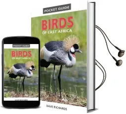 Pocket Guide Birds of East Africa Audiobook download free by Dave Richards
