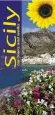 Audiobook Sicily: Car Tours and Walks author Peter Amann