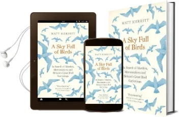A sky Full of Birds Audiobook download free by Matt Merritt