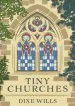 Audiobook Tiny Churches author Dixe Wills