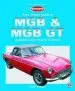 Audiobook Mgb & mgb gt - Your Expert Guide to Problems & how to fix Them author Roger Williams