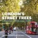 Audiobook London'S Street Trees: A Field Guide to the Urban Forest author Paul Wood