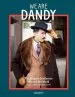 Audiobook We are Dandy: The Elegant Gentleman Around the World author Gestalten
