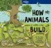 Audiobook How Animals Build author Lonely Planet Kids