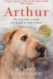 Audiobook Arthur: The dog who Crossed the Jungle to Find a Home author Mikael Lindnord