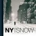 Audiobook New York in the Snow author Vivienne Gucwa