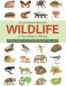 Audiobook The Wildlife of South Africa: A Field Guide to the Animals and Plants of the Region author Vincent Carruthers