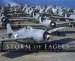 Audiobook Storm of Eagles: The Greatest Aviation Photographs of World war ii author John Dibbs