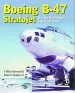 Audiobook Boeing B-47 Stratojet: Startegic air Command'S Transitional Bomber author Robert S. Hopkins