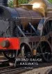 Audiobook Broad Gauge Railways author Tim Bryan