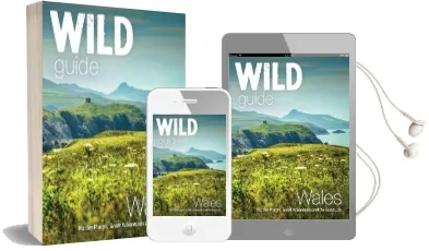 Wild Guide Wales and Marches: Hidden Places, Great Adventures & the Good Life in Wales (Including Herefordshire and Shropshire) Audiobook download free by Daniel Start
